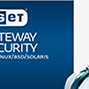 ESET ochrana gateway serverů